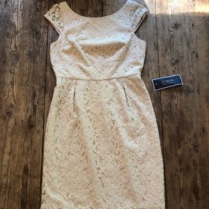 COPY - J. Crew champagne lace bridesmaid/cocktail dress